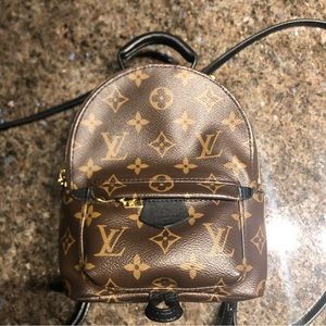Louis Vuitton Palm Springs Mini 2022
